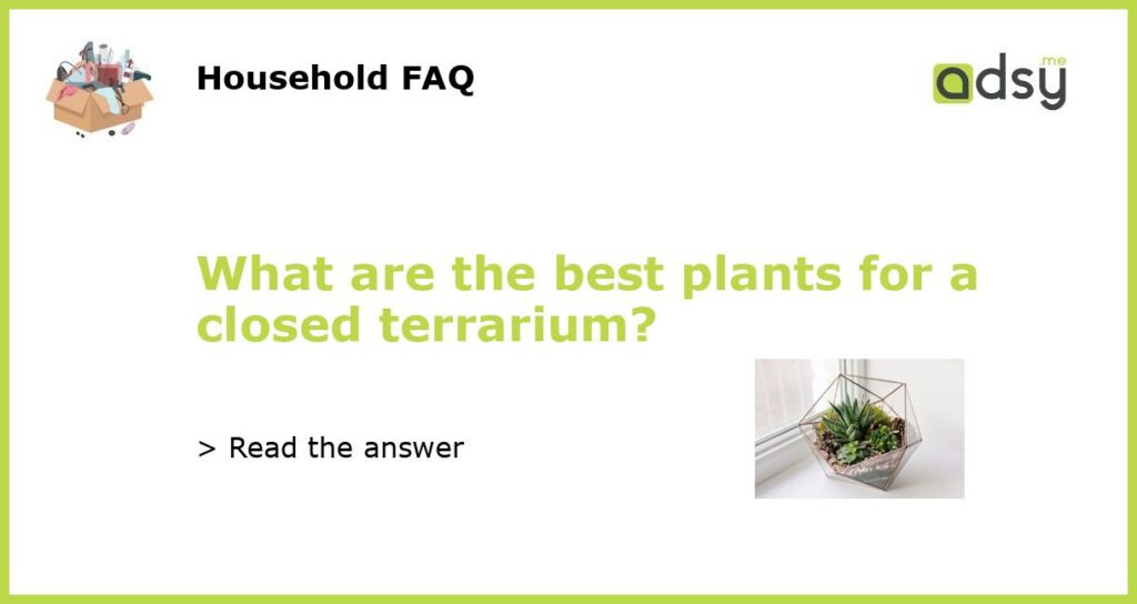 What are the best plants for a closed terrarium featured