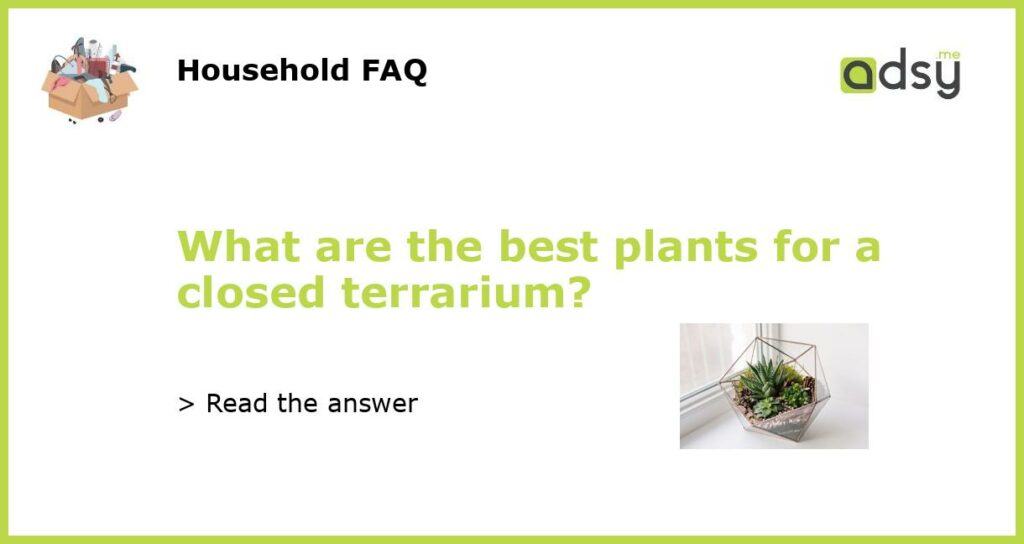 What are the best plants for a closed terrarium?