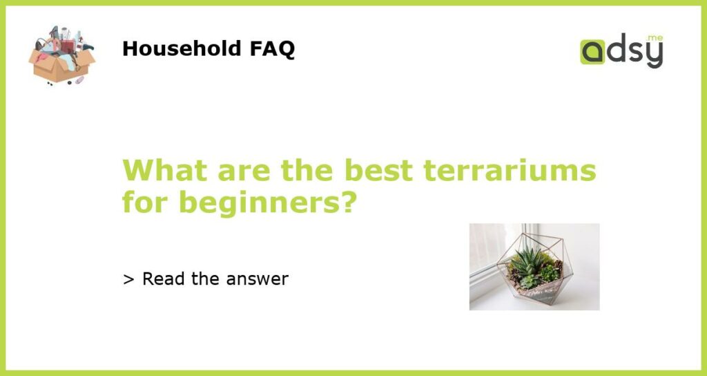 What are the best terrariums for beginners featured