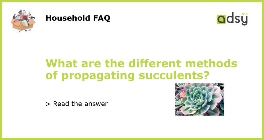 What are the different methods of propagating succulents featured