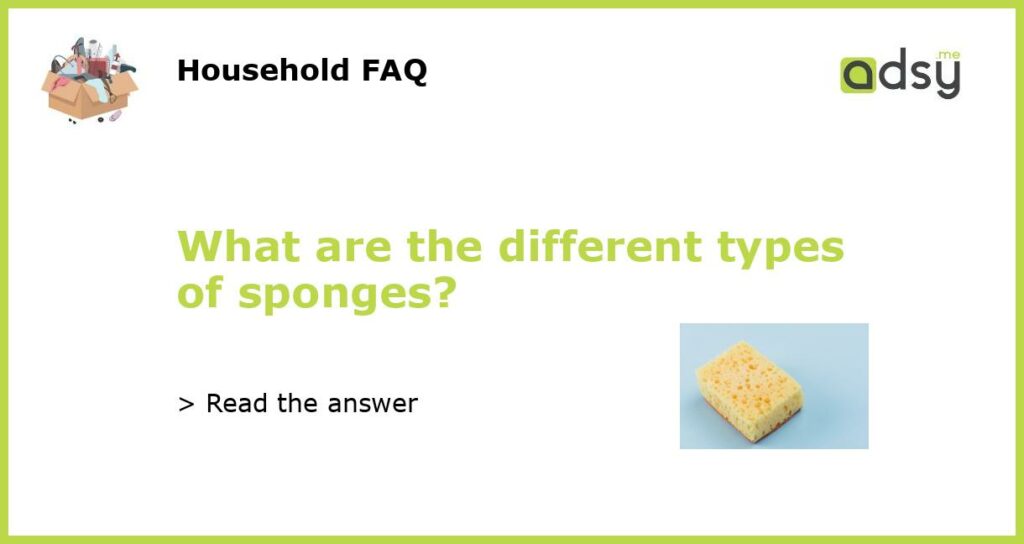 What are the different types of sponges?