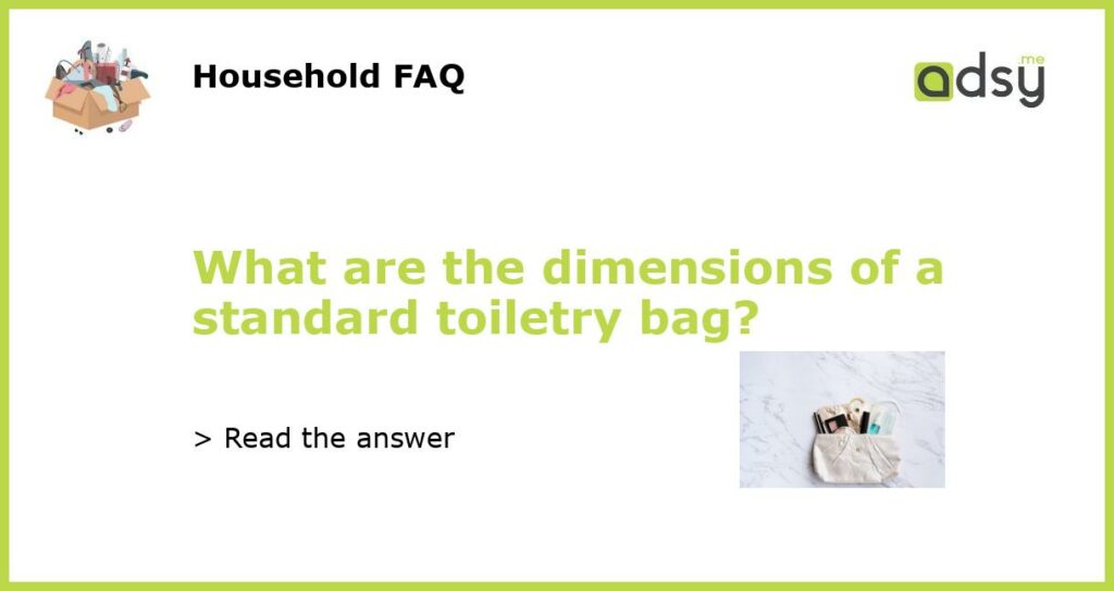 What are the dimensions of a standard toiletry bag featured