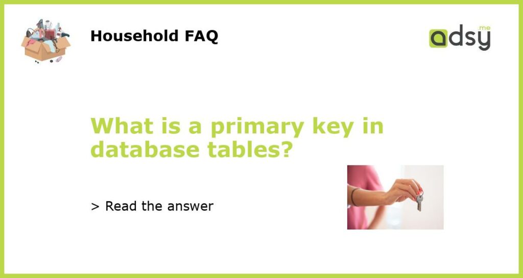 What is a primary key in database tables featured
