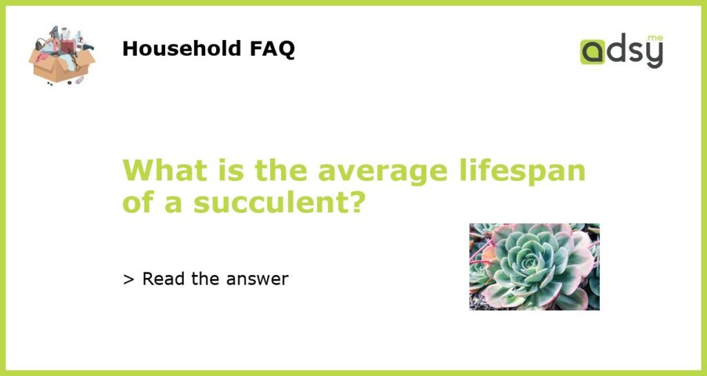 What is the average lifespan of a succulent featured