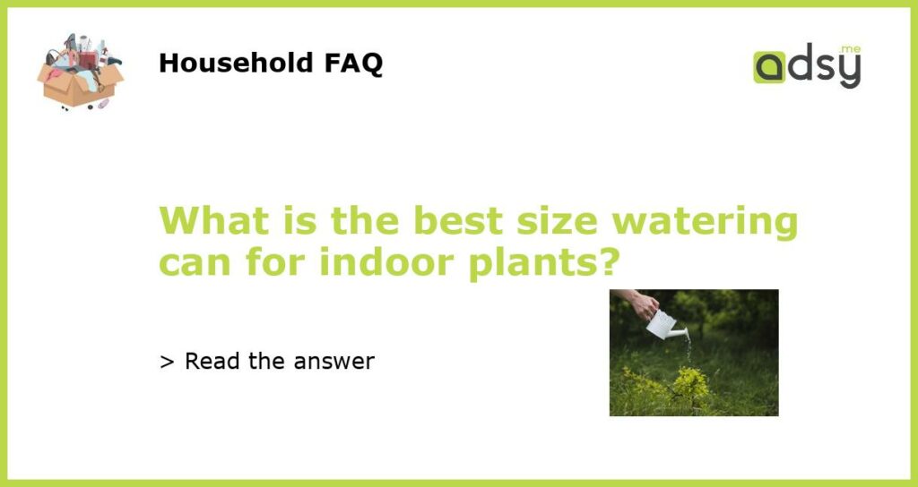 What is the best size watering can for indoor plants featured