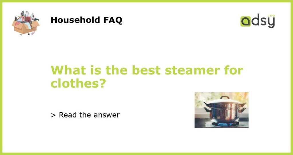 What is the best steamer for clothes?