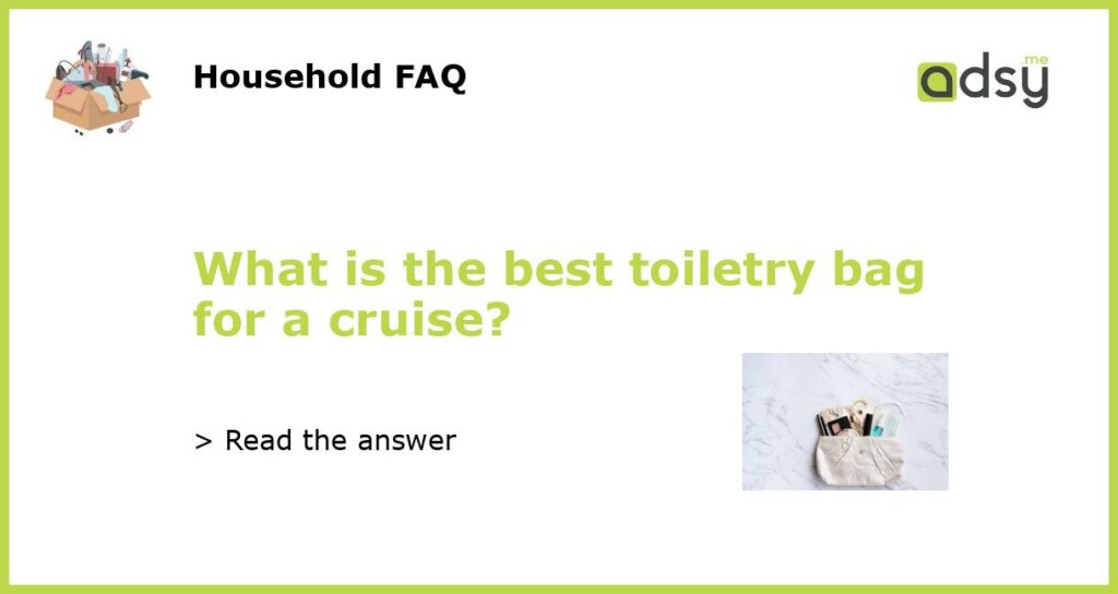 What is the best toiletry bag for a cruise?