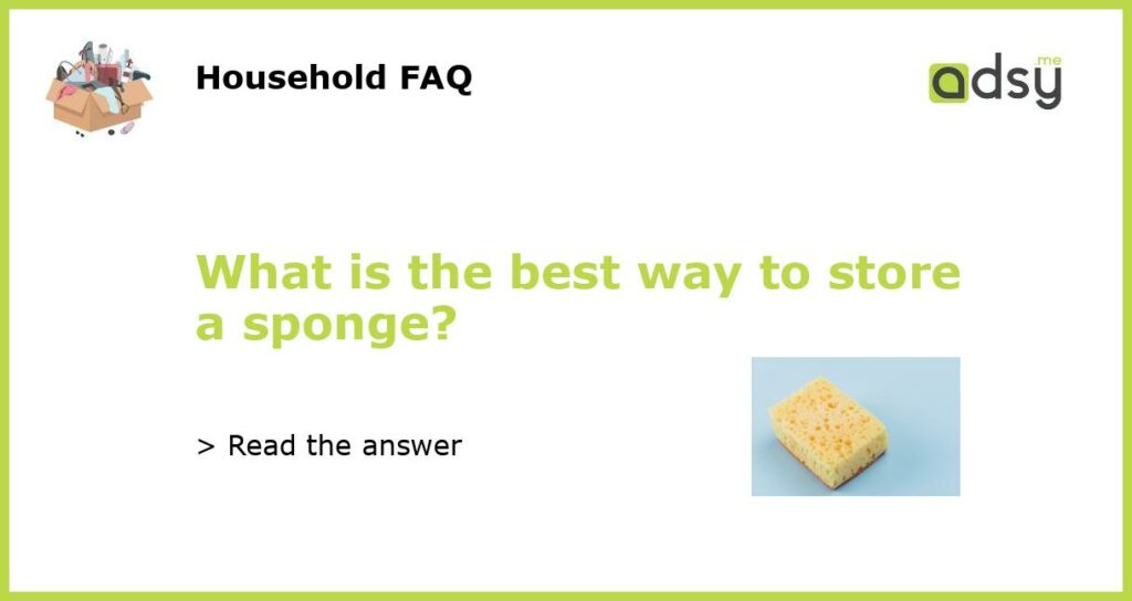 What is the best way to store a sponge featured