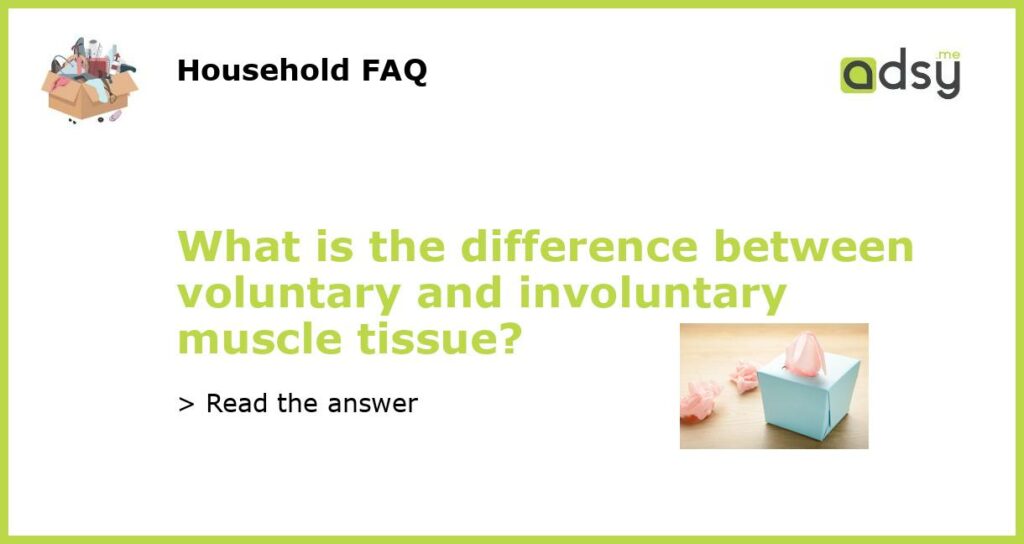 What is the difference between voluntary and involuntary muscle tissue featured