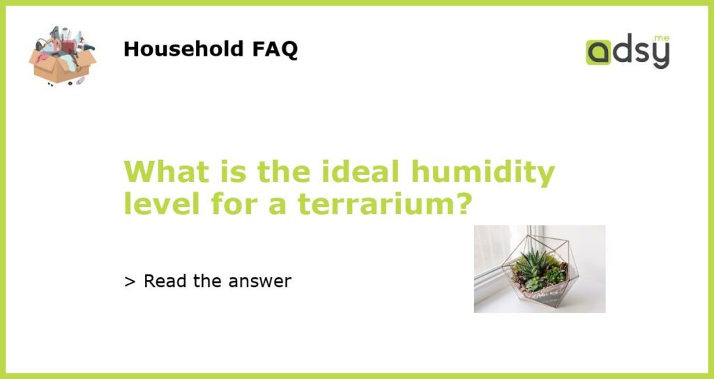 What is the ideal humidity level for a terrarium featured