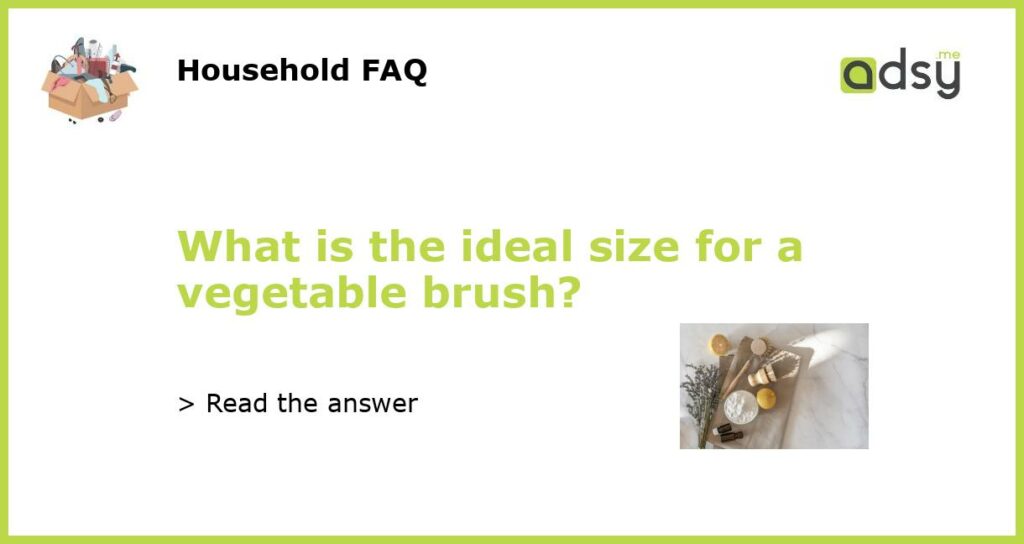 What is the ideal size for a vegetable brush featured