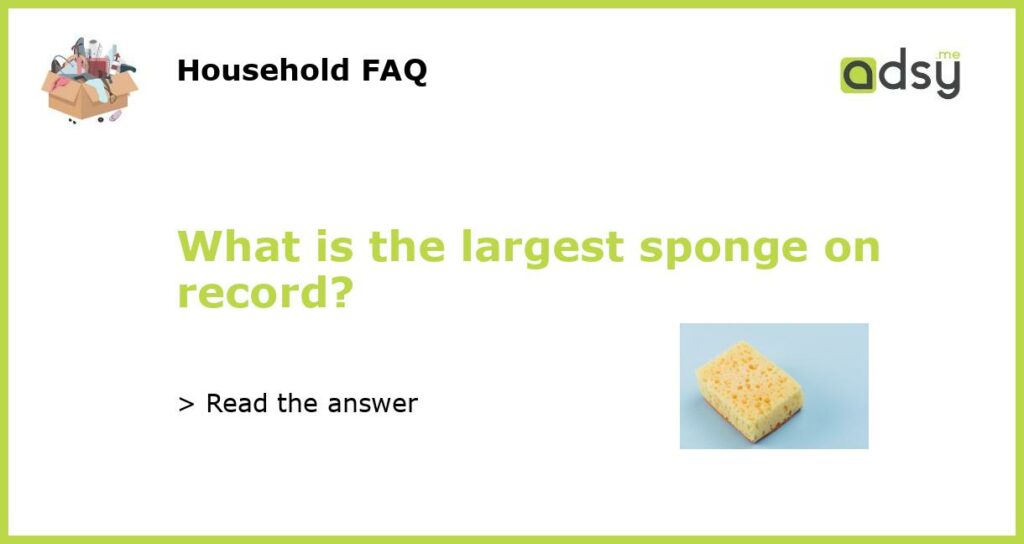 What is the largest sponge on record?