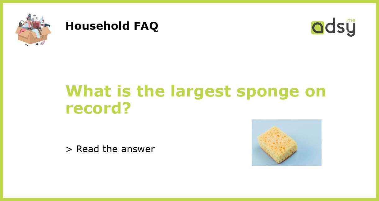 What is the largest sponge on record?