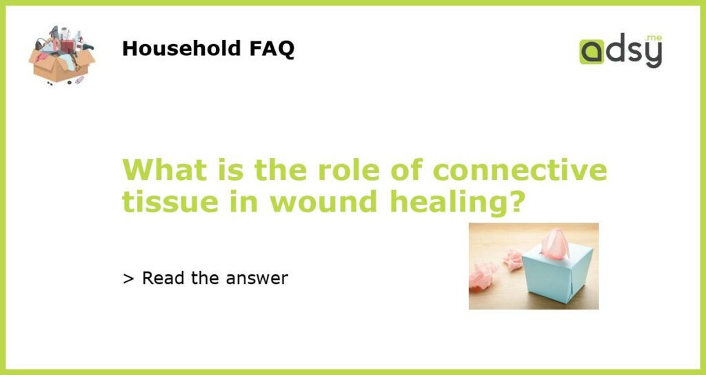 what-is-the-role-of-connective-tissue-in-wound-healing