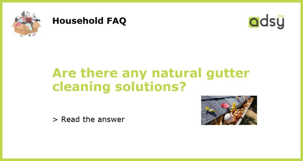 Are there any natural gutter cleaning solutions featured