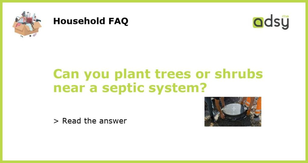 Can you plant trees or shrubs near a septic system featured