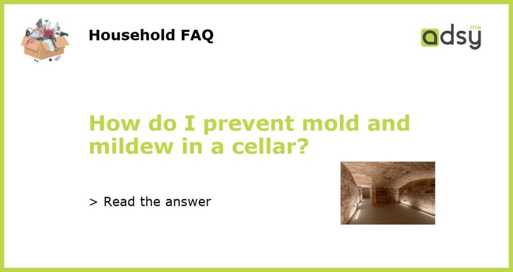 How do I prevent mold and mildew in a cellar?