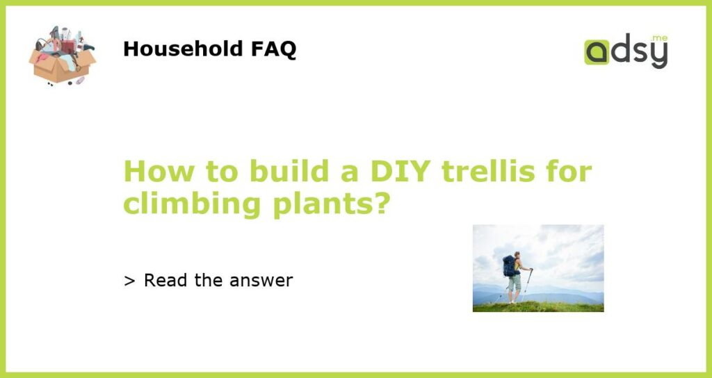How to build a DIY trellis for climbing plants featured
