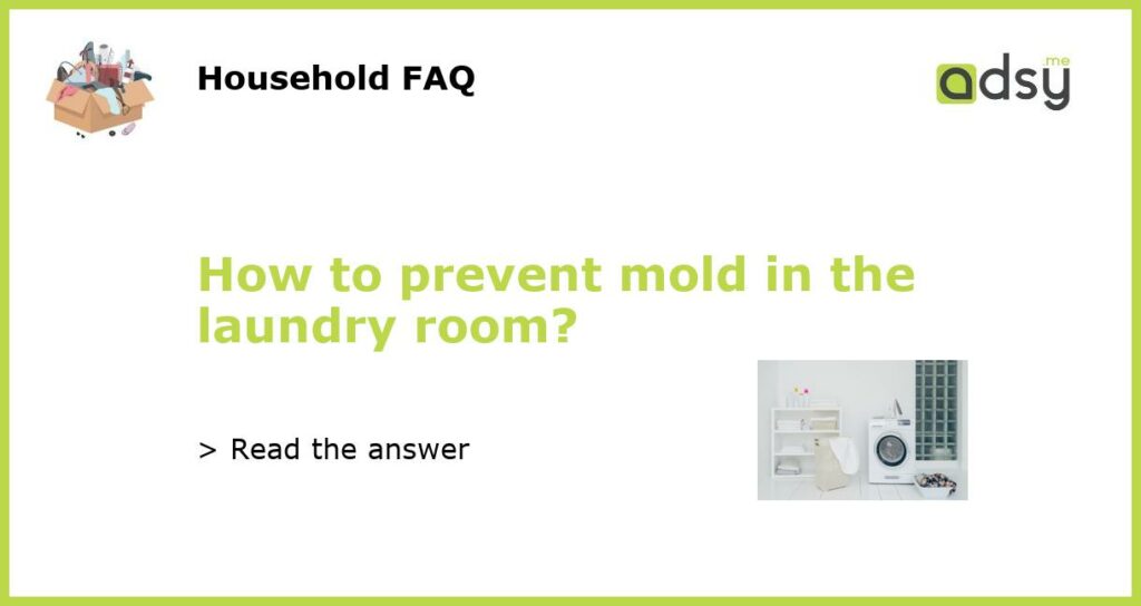 How to prevent mold in the laundry room featured