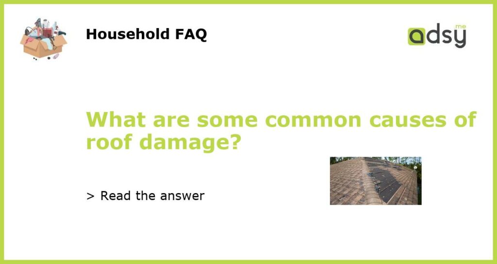 What are some common causes of roof damage featured