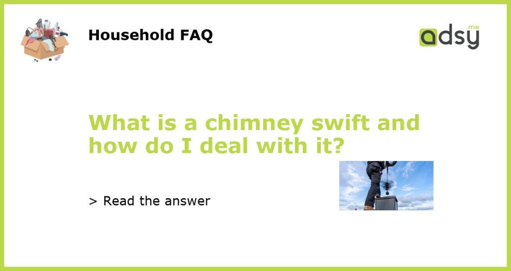 What is a chimney swift and how do I deal with it featured